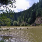 Lacul Rosu